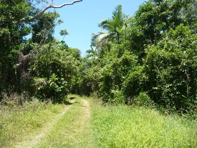 Seventh view of Homely land listing, 1827 Tully Mission Beach Road, Wongaling Beach QLD 4852