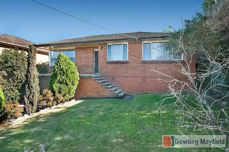 14 Ligouri Court, Mayfield NSW 2304