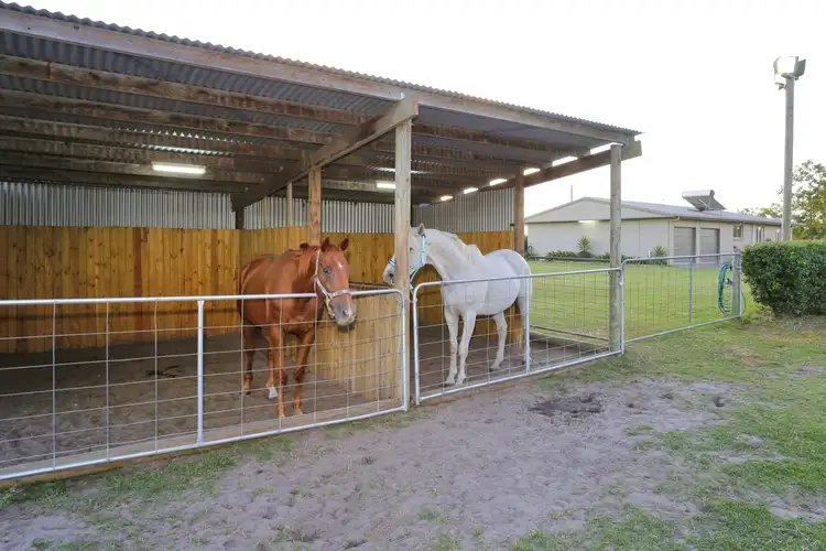 Seventh view of Homely rural property listing, 11 Booloongie Road, Gooburrum QLD 4670