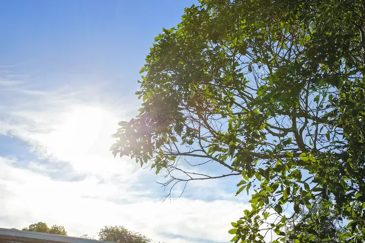 Sixth view of Homely townhouse listing, 9 Heath Close, Ocean Grove VIC 3226