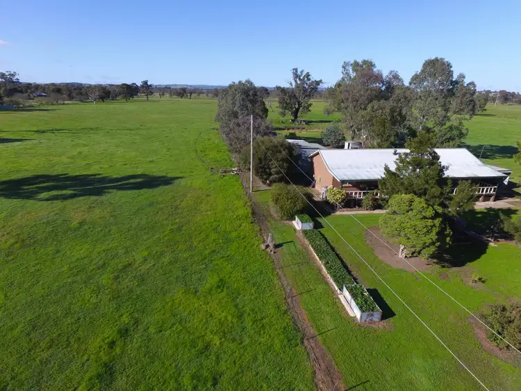 Fifth view of Homely house listing, 3749 Sturt Highway, Gumly Gumly NSW 2652