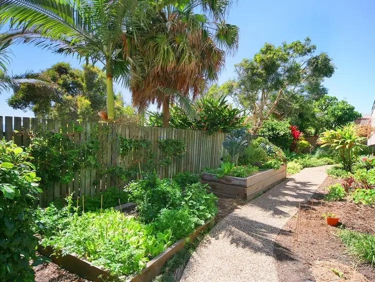 Fifth view of Homely unit listing, 3/123 Coolum Terrace, Coolum Beach QLD 4573