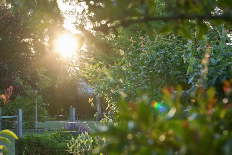 Fifth view of Homely rural property listing, 255 Swan Bay Road, Wallington VIC 3222