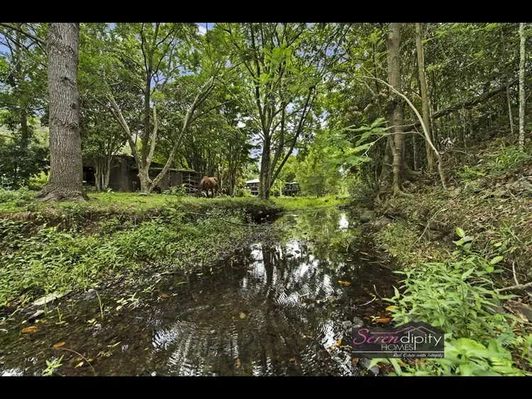 Fourth view of Homely rural property listing, 283 Shaws Pocket Rd, Cedar Creek QLD 4207