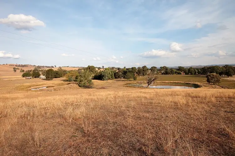 Fourth view of Homely rural property listing, 79 Buiks Road, Wagga Wagga NSW 2650