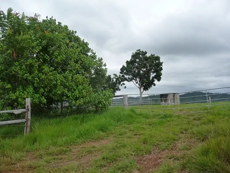 Sixth view of Homely house listing, 173 Dargin Road, Maria Creeks QLD 4855
