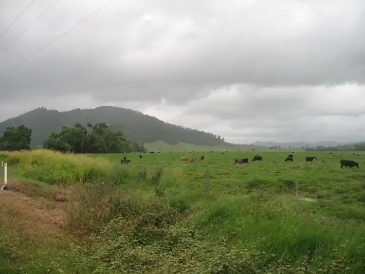 Main view of Homely land listing, Lot 7 Bingil Bay Road, Midgeree Bar QLD 4852