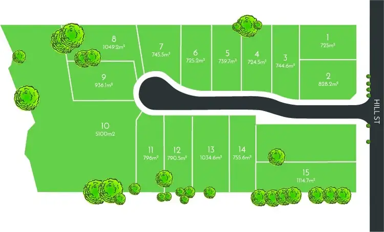 Lot 10 LOT 10/18 Hill Street, Picton NSW 2571