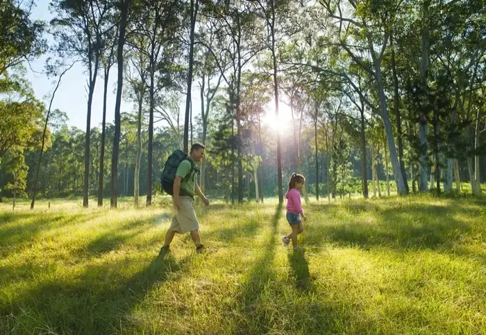 Third view of Homely land listing, LOT 47/Lot 47 Eumeralla Crescent, Landsborough QLD 4550