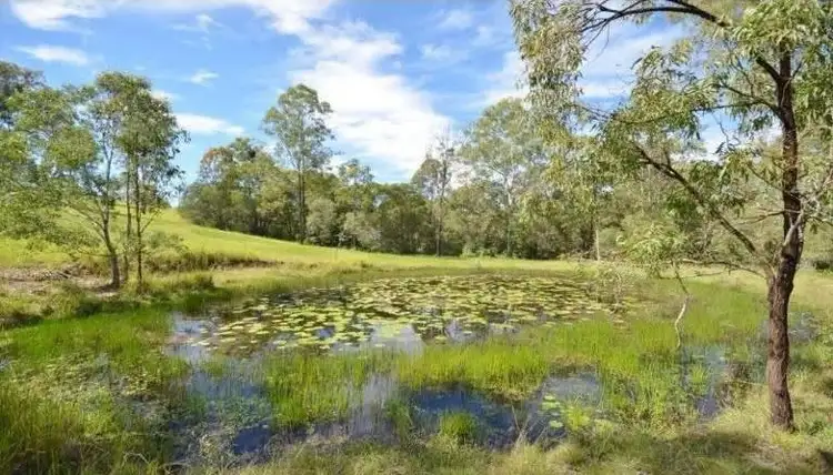 Fourth view of Homely house listing, 134-152 Tremayne Rd, Mundoolun QLD 4285
