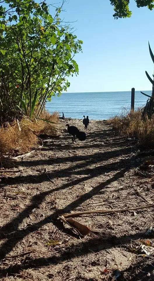 Seventh view of Homely land listing, LOT 7/ 348-386 O'Regan Creek Road, Toogoom QLD 4655