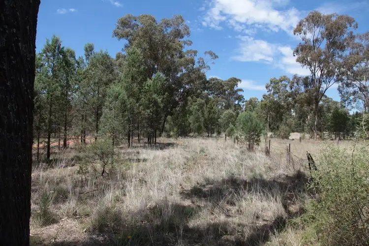 Sixth view of Homely land listing, 47 Lerida Street, Ganmain NSW 2702