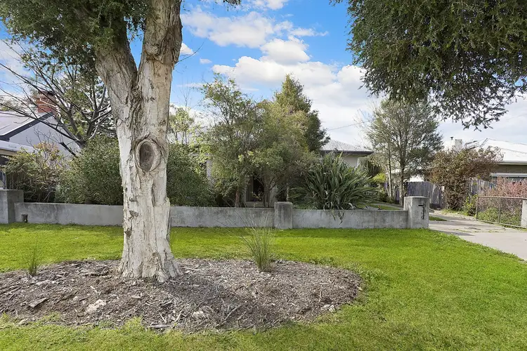 294 Olive Street, South Albury NSW 2640