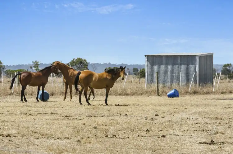 Fourth view of Homely rural property listing, 505 Bluestone School Road, Barwon Heads VIC 3227