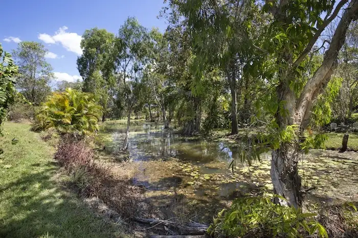 Fifth view of Homely rural property listing, 95 Rieck Street, Gin Gin QLD 4671