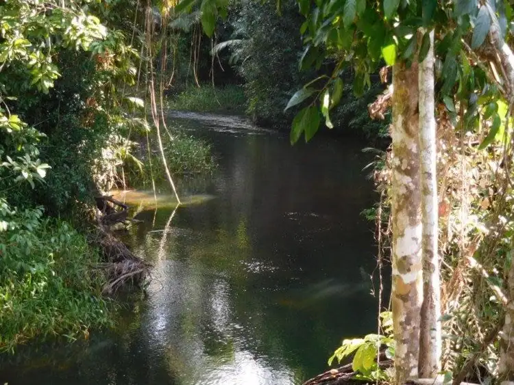 Second view of Homely house listing, 20 Sugar Cane Creek Road, Carmoo QLD 4852