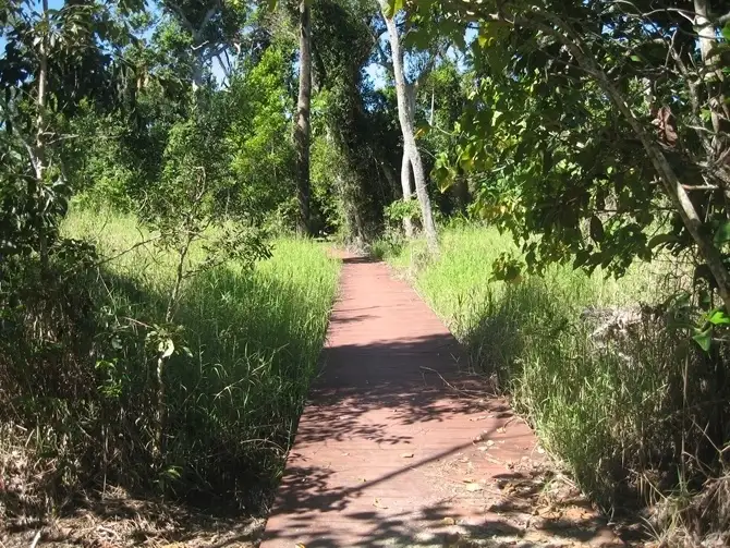 Fifth view of Homely land listing, Lot 172 Shelly Court, Mission Beach QLD 4852