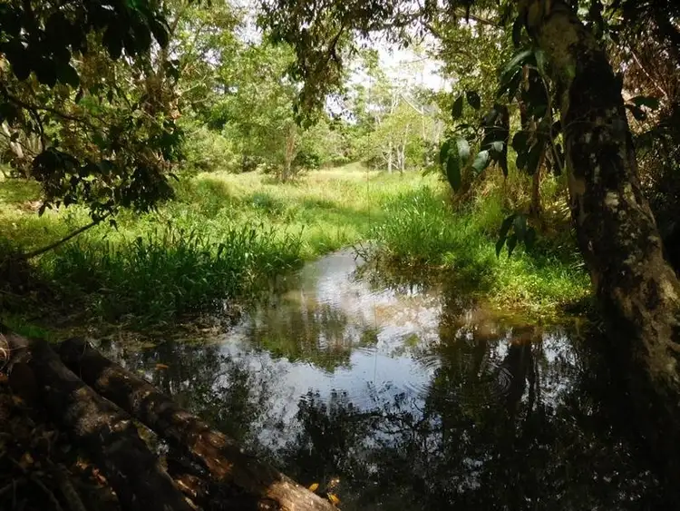 Fourth view of Homely land listing, Lot 55 Shell Pocket Road, Shell Pocket QLD 4855