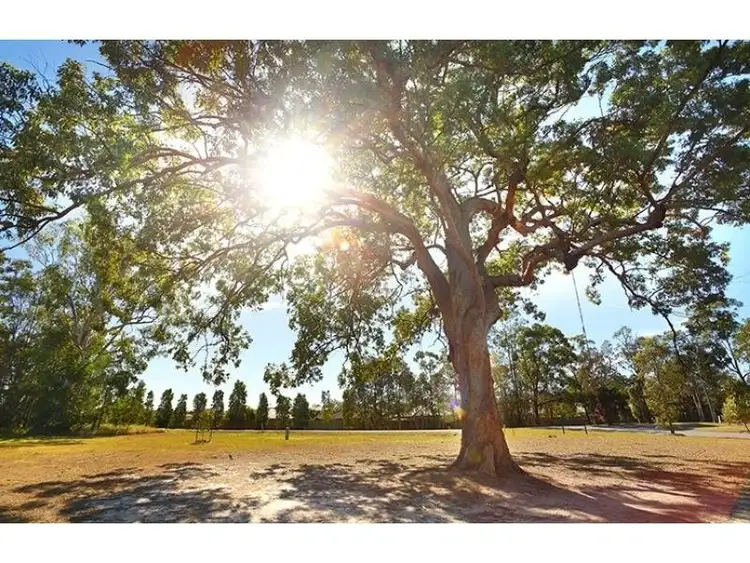 Main view of Homely land listing, Lot 5 Belinda Close, Beerwah QLD 4519