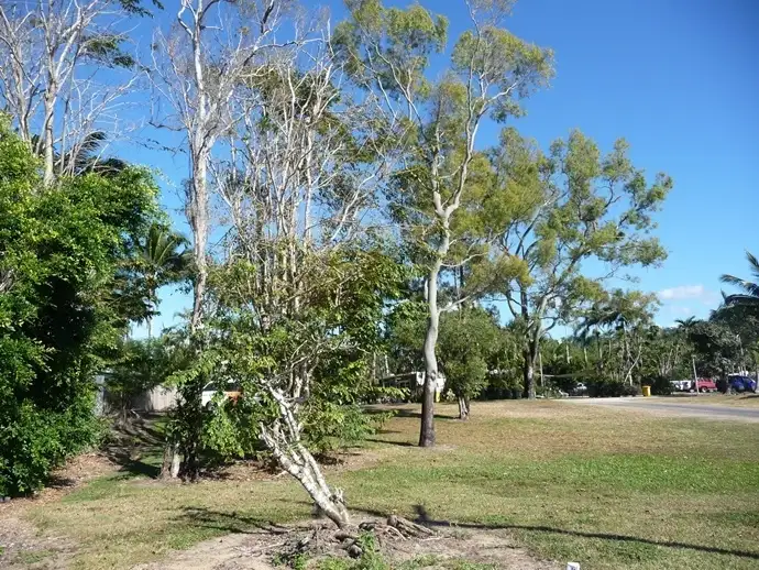 Seventh view of Homely land listing, 3 Banfield Parade, Wongaling Beach QLD 4852