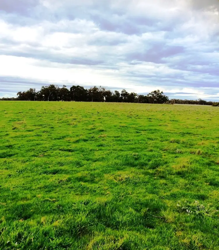 Second view of Homely rural property listing, 344 Lake Katherine Road, Perillup WA 6324