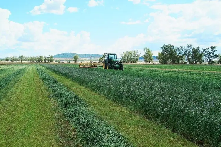 Sixth view of Homely rural property listing, 10771 Kamilaroi Highway, Gunnedah NSW 2380