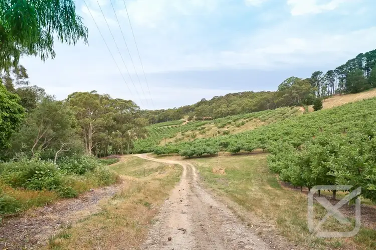 Sixth view of Homely house listing, 428 Deviation Road, Forest Range SA 5139