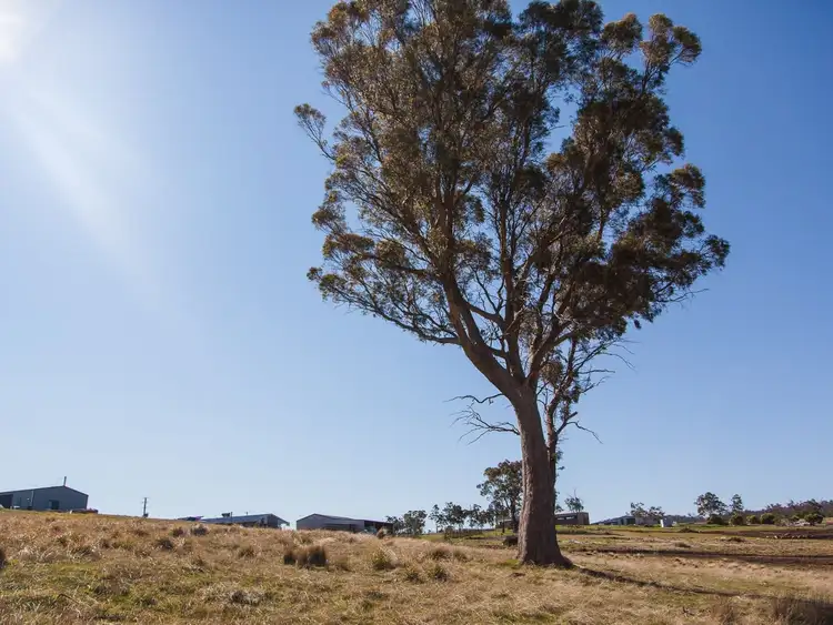 Seventh view of Homely land listing, 30 White Gum Rise, St Leonards TAS 7250