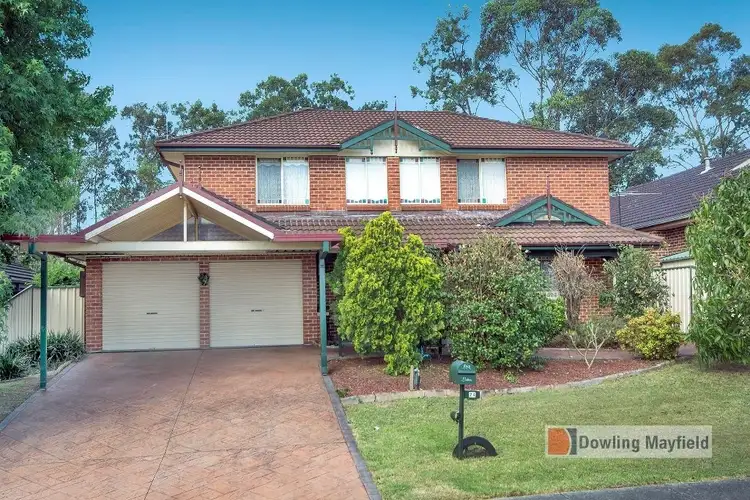 Main view of Homely house listing, 24 Olearia Crescent, Warabrook NSW 2304