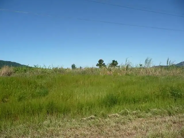 Fifth view of Homely land listing, 1 Old Telegraph Road, East Feluga QLD 4854