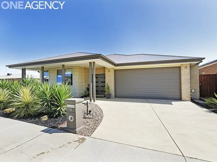 12 Shakespear Avenue, Drysdale VIC 3222