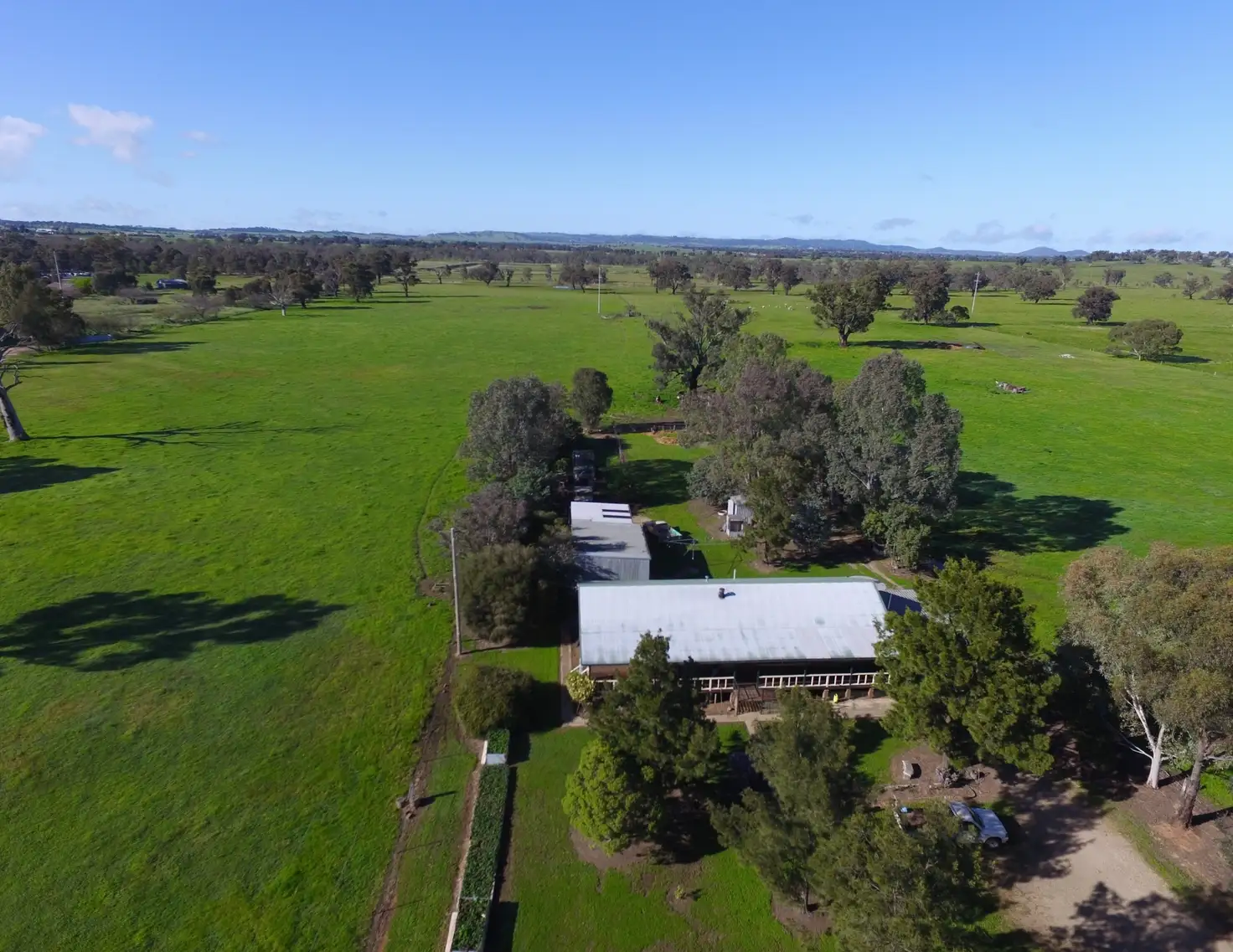 Main view of Homely house listing, 3749 Sturt Highway, Gumly Gumly NSW 2652