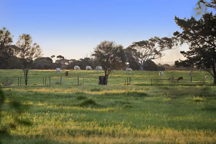 Third view of Homely house listing, 15 Mulgoa Court, Barwon Heads VIC 3227