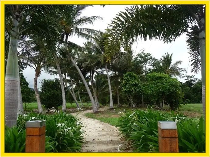 Lot 161 Shelly Court, Mission Beach QLD 4852