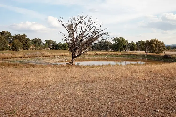 Second view of Homely rural property listing, 79 Buiks Road, Wagga Wagga NSW 2650