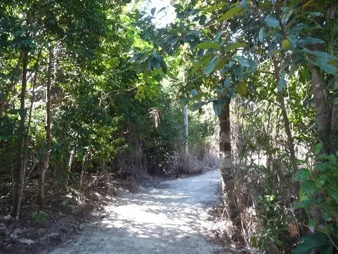 Sixth view of Homely land listing, Lot 172 Shelly Court, Mission Beach QLD 4852