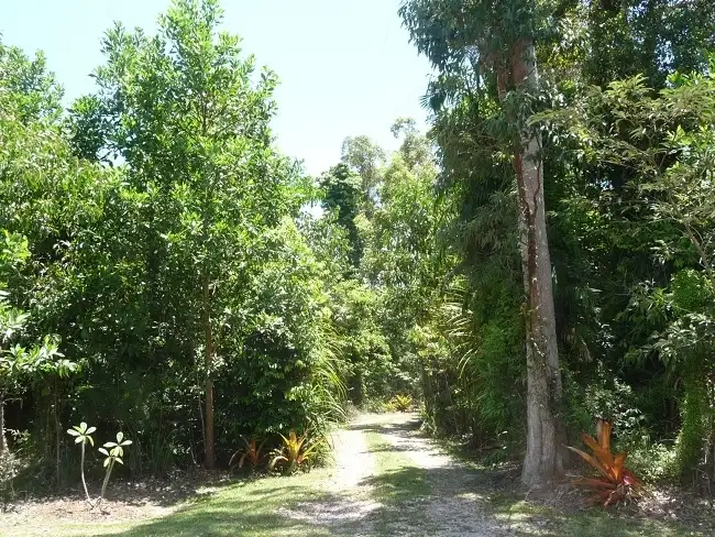 Fourth view of Homely house listing, Lot 2 Mission Beach Road, Maria Creeks QLD 4855