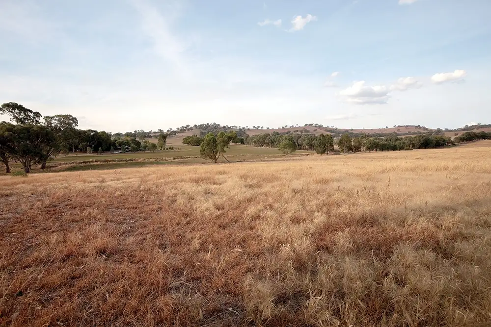 Main view of Homely rural property listing, 79 Buiks Road, Wagga Wagga NSW 2650