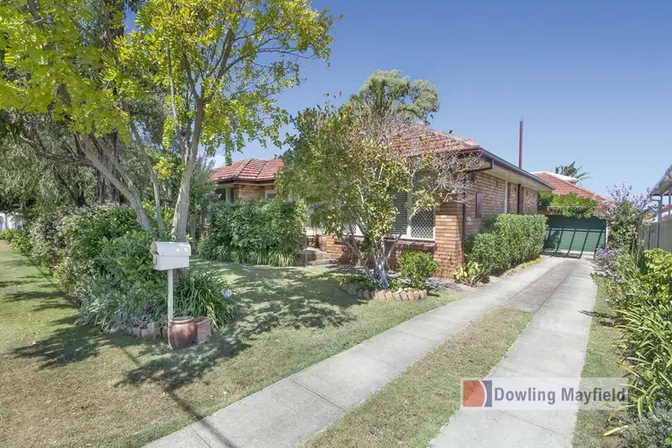 Main view of Homely house listing, 7 Travers Avenue, Mayfield West NSW 2304
