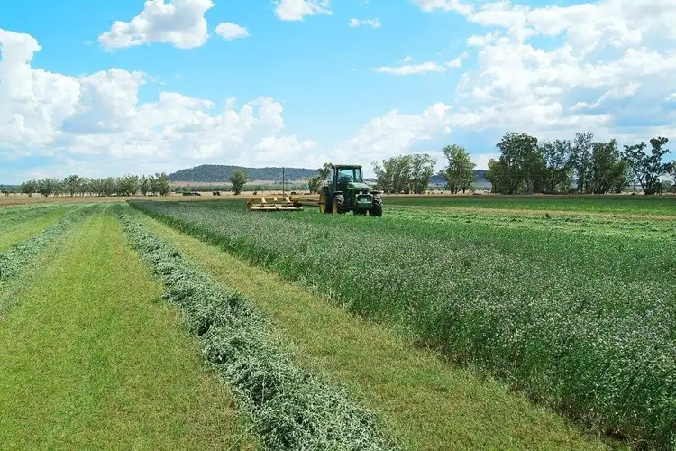 Seventh view of Homely rural property listing, 10771 Kamilaroi Highway, Gunnedah NSW 2380