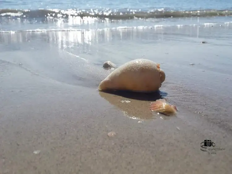 Second view of Homely land listing, LOT 4/3 Longboard Street, Toogoom QLD 4655