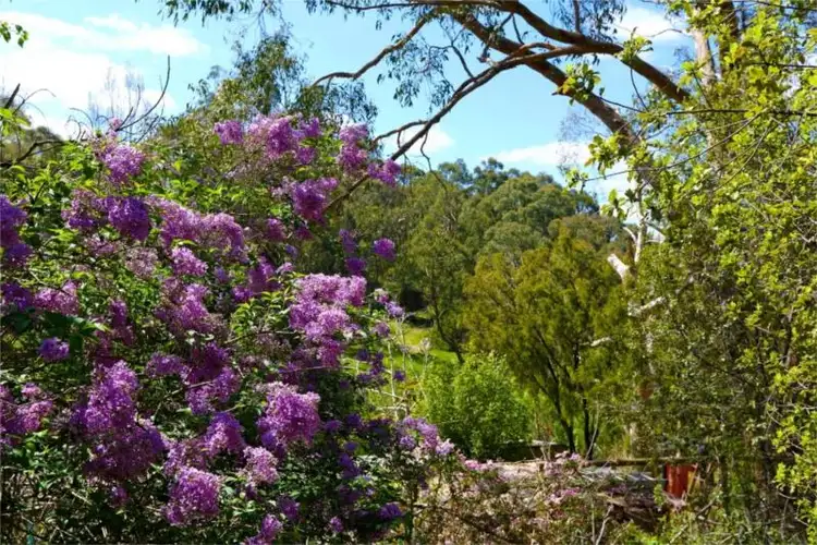 Fifth view of Homely house listing, 21 Woorabinda Drive, Stirling SA 5152