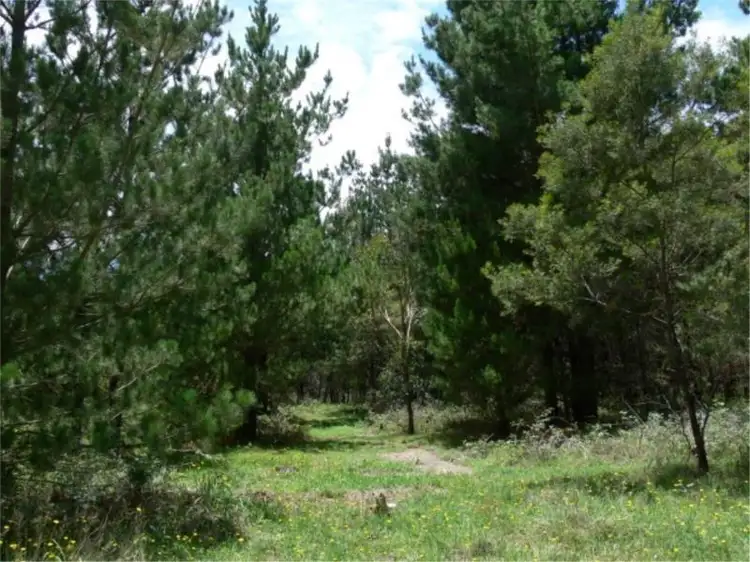 Main view of Homely land listing, Lot 233 Central Road, Sugarloaf via, Stanthorpe QLD 4380