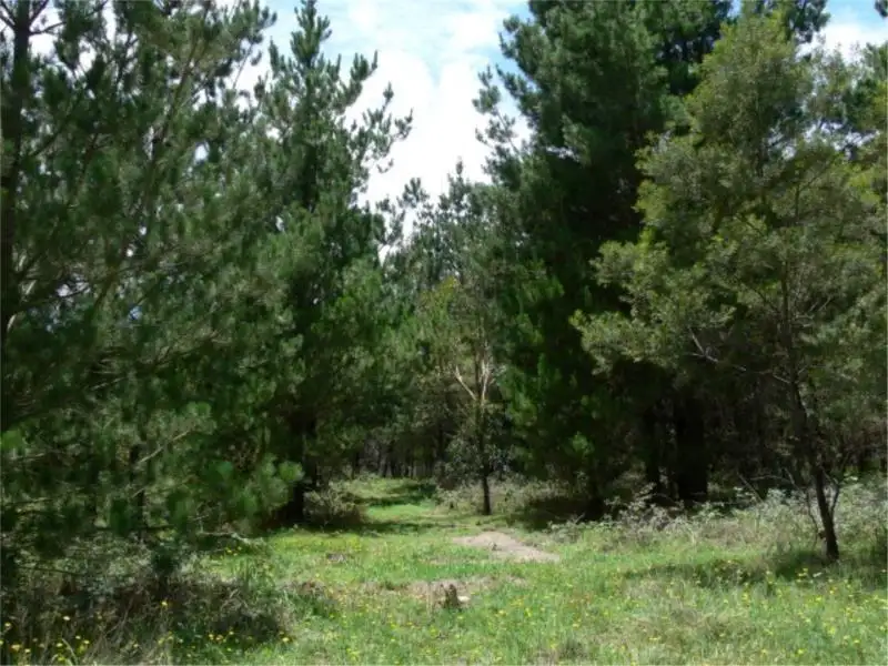 Main view of Homely land listing, Lot 233 Central Road, Sugarloaf via, Stanthorpe QLD 4380