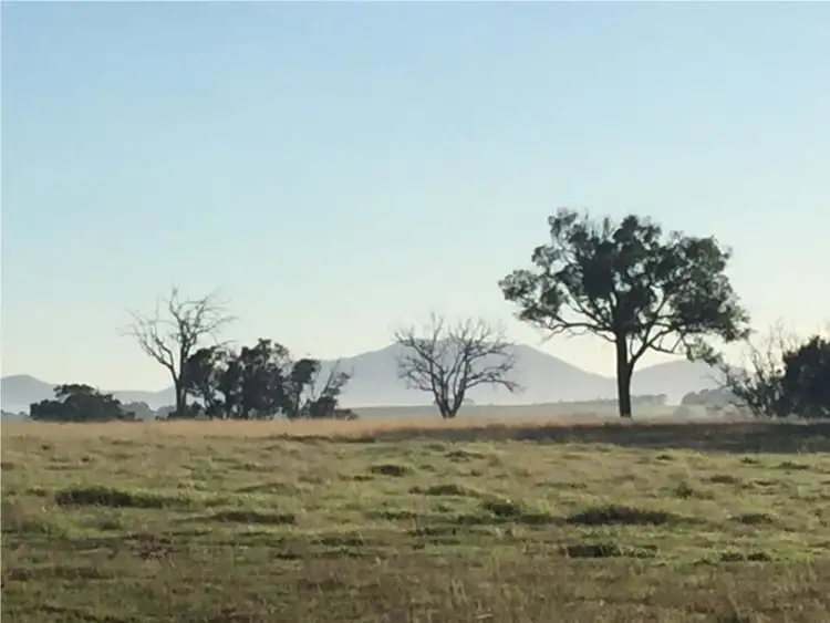 Third view of Homely rural property listing, 1480 Riches road, Mount Barker WA 6324