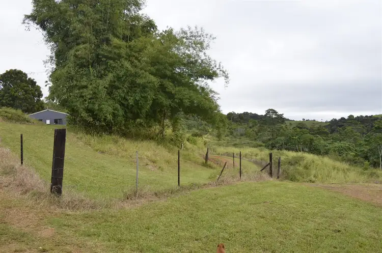 Fourth view of Homely rural property listing, 203 Mullins, Beatrice QLD 4886