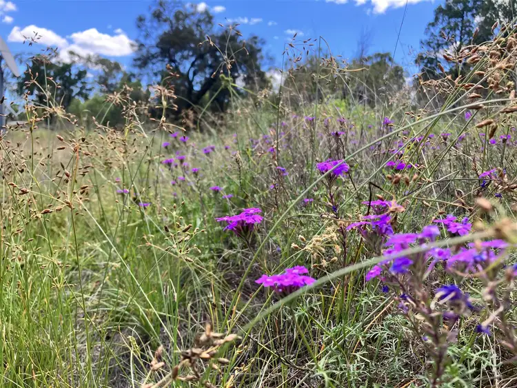 Fourth view of Homely rural property listing, 93/Groszmann Road, Western Creek QLD 4357