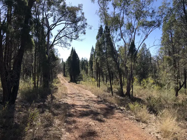 Fifth view of Homely rural property listing, 3/1025 Castlereagh Highway, Dunedoo NSW 2844