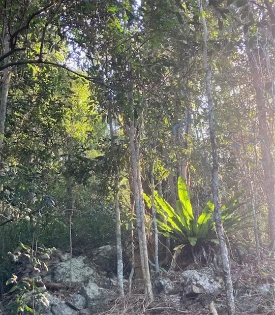 Third view of Homely house listing, 918 Upper Brookfield Road, Upper Brookfield QLD 4069