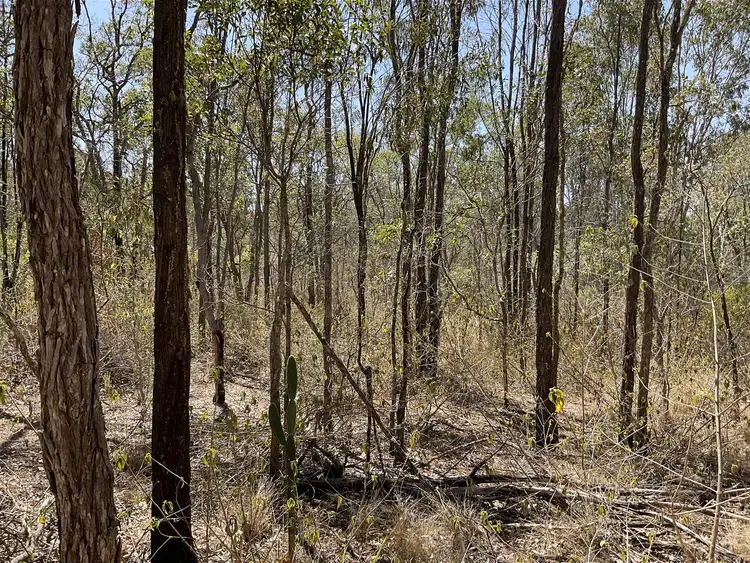 Sixth view of Homely rural property listing, Lot 59 Kingaroy Cooyar Road, Brooklands QLD 4615